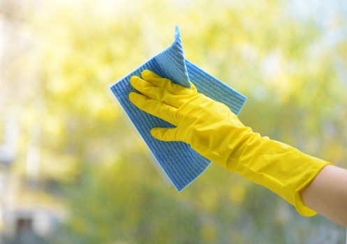 Professional pet stain and odour treatment in a Brompton home