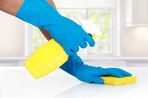 Local Brompton cleaners preparing a one-time clean in a flat