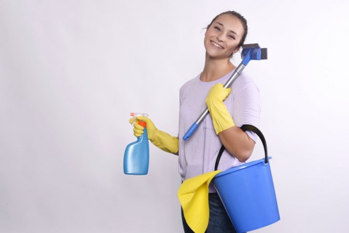 Focused stain treatment for a mattress or upholstery item in Brompton