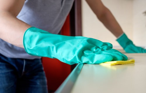 Professional inspection and deep cleaning of a decorative rug