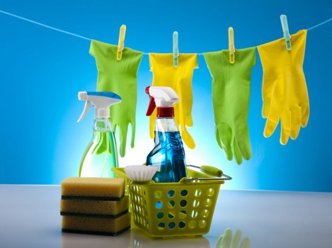 Local commercial carpet cleaning service for shared office buildings